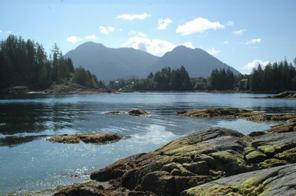 Facing into Ahousaht harbour.  Photographer: Tara Atleo