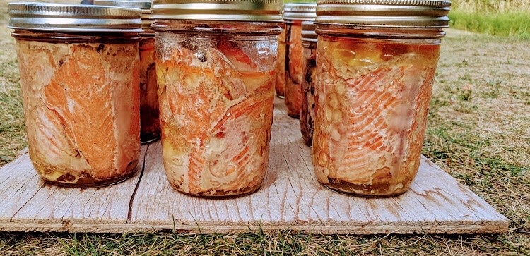 Jarred sockeye salmon. Jarring is an important food preservation method that which helps the fish last for months to years. Photo: Gabriel Hernandez