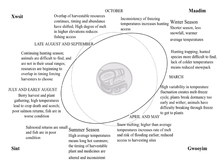 The distorted Gitxsan seasonal cycle based on anecdotal evidence (Wale 2022). Gitxsan Moon by Brett Huson.