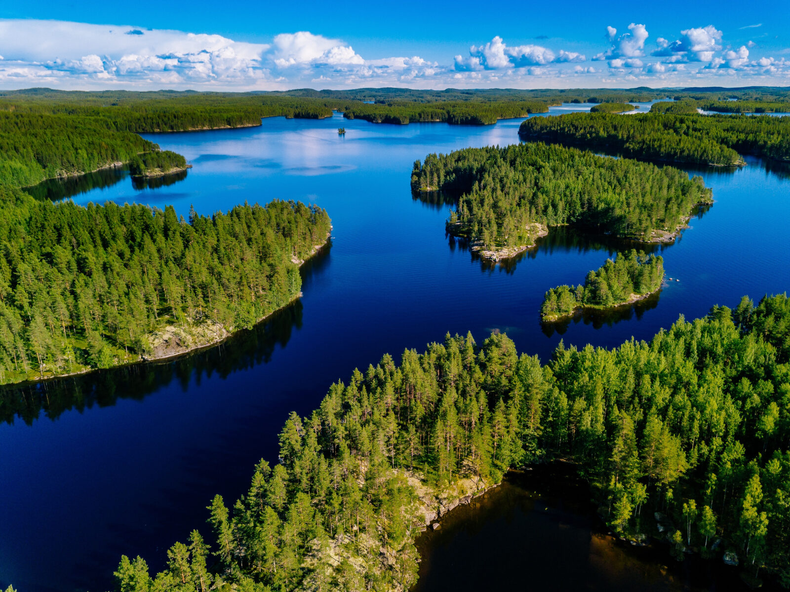 Aerial view of blue lakes and green forests on a sunny summer day.