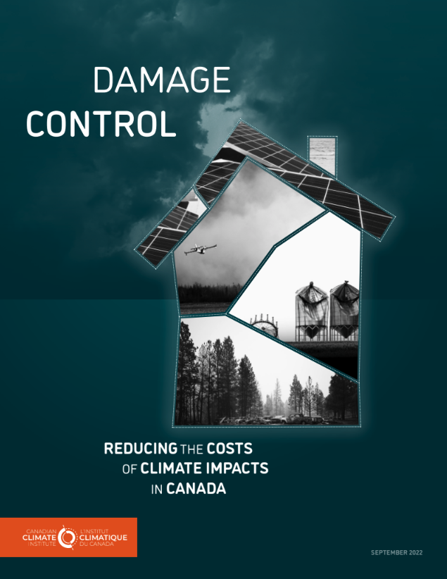 Report cover of Damage Control