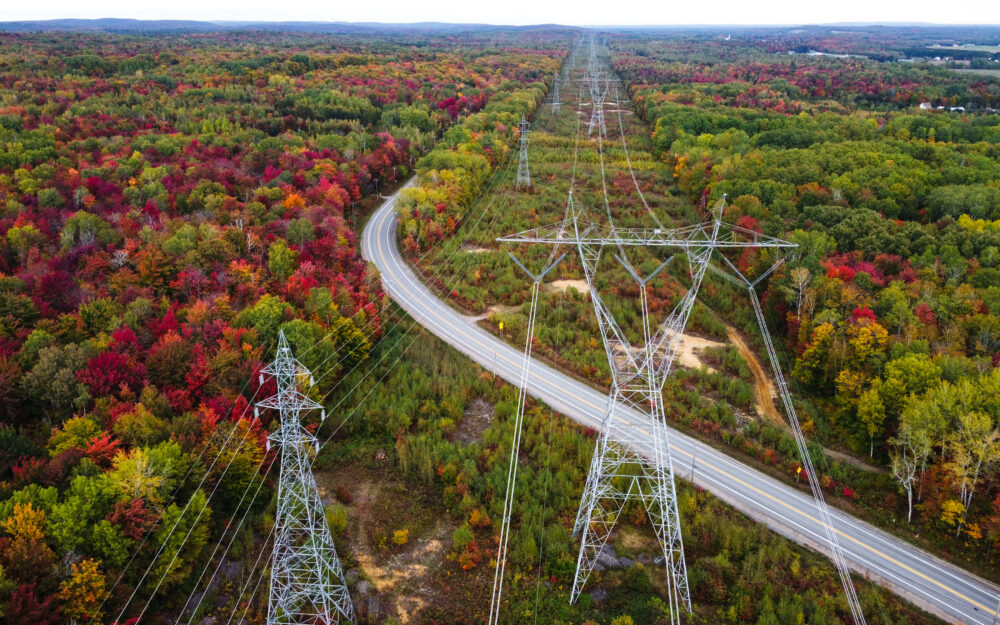 Image showing a large electricity pylon and a road in a forest.
